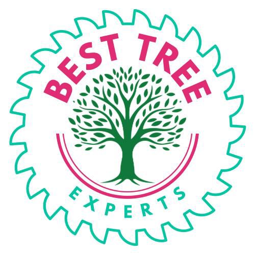 Best Tree Experts